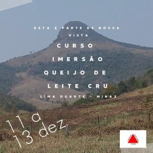 Imersão Profissional na Escola de Queijo