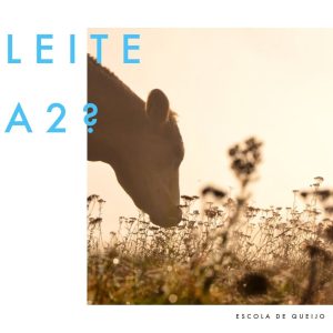 caseína A1 e A2 do leite