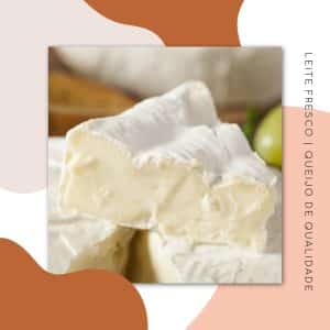 leite fresco para produção de queijos artesanais